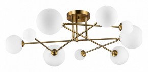 Потолочная люстра EVOLUCE Fantini SLE2211-302-09 в Камышлове - kamyshlov.mebel24.online | фото