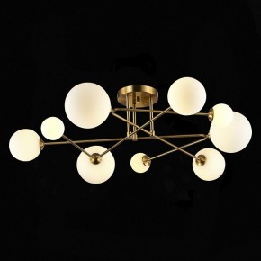 Потолочная люстра EVOLUCE Fantini SLE2211-302-09 в Камышлове - kamyshlov.mebel24.online | фото 4