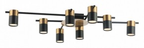 Потолочная люстра Favourite Topper 2825-8P в Камышлове - kamyshlov.mebel24.online | фото 2
