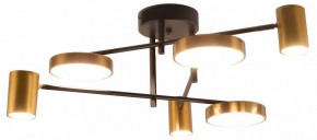 Потолочная люстра Kink Light Рапис 07645-6D,19(20) в Камышлове - kamyshlov.mebel24.online | фото