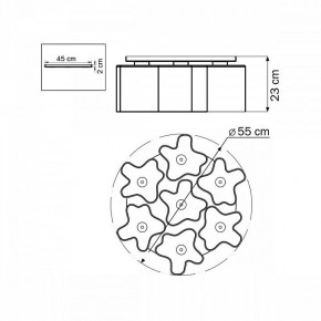 Потолочная люстра Lightstar Nubi 802070 в Камышлове - kamyshlov.mebel24.online | фото 6