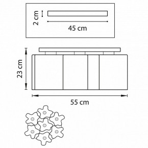 Потолочная люстра Lightstar Nubi 802077 в Камышлове - kamyshlov.mebel24.online | фото 2