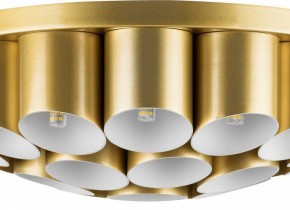Потолочная люстра Lightstar Siena 720222 в Камышлове - kamyshlov.mebel24.online | фото 3