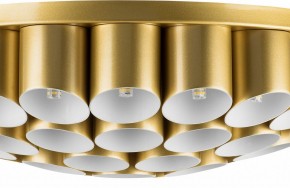 Потолочная люстра Lightstar Siena 720402 в Камышлове - kamyshlov.mebel24.online | фото 3