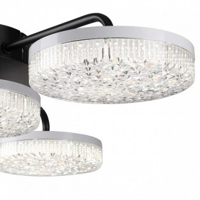 Потолочная люстра Lumion Didana 8236/4CL в Камышлове - kamyshlov.mebel24.online | фото 7