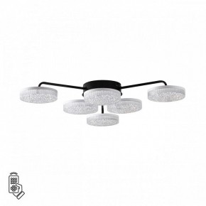 Потолочная люстра Lumion Didana 8236/6CL в Камышлове - kamyshlov.mebel24.online | фото 5