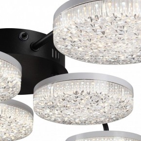 Потолочная люстра Lumion Didana 8236/6CL в Камышлове - kamyshlov.mebel24.online | фото 9