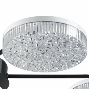 Потолочная люстра Lumion Didana 8236/7CL в Камышлове - kamyshlov.mebel24.online | фото 9