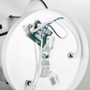 Потолочная люстра Lussole Fargo LSP-8803 в Камышлове - kamyshlov.mebel24.online | фото 4