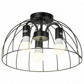 Потолочная люстра Lussole Lattice 1 GRLSP-8215 в Камышлове - kamyshlov.mebel24.online | фото
