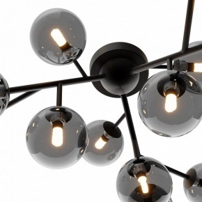 Потолочная люстра Maytoni Dallas MOD545CL-12B в Камышлове - kamyshlov.mebel24.online | фото 3