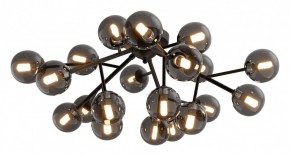 Потолочная люстра Maytoni Dallas MOD545CL-20B в Камышлове - kamyshlov.mebel24.online | фото 2