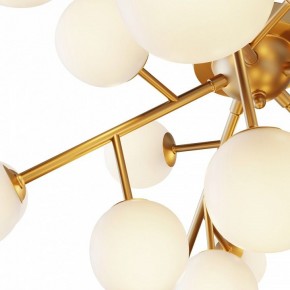 Потолочная люстра Maytoni Dallas MOD545CL-20BS в Камышлове - kamyshlov.mebel24.online | фото 2