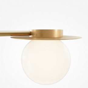 Потолочная люстра Maytoni Star sky MOD291CL-04BS в Камышлове - kamyshlov.mebel24.online | фото 5