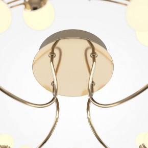 Потолочная люстра Maytoni Tessara MOD081CL-L36G3K в Камышлове - kamyshlov.mebel24.online | фото 4