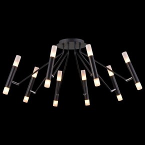 Потолочная люстра Maytoni Vigo MOD620CL-16B в Камышлове - kamyshlov.mebel24.online | фото 4