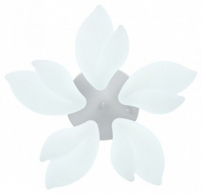 Потолочная люстра Natali Kovaltseva Effect LED LAMPS 81116 в Камышлове - kamyshlov.mebel24.online | фото 3