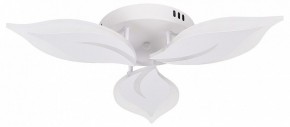 Потолочная люстра Natali Kovaltseva Sirius LED LAMPS 81164 в Камышлове - kamyshlov.mebel24.online | фото