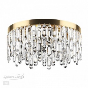 Потолочная люстра Odeon Light Dakisa 4986/6C в Камышлове - kamyshlov.mebel24.online | фото 4