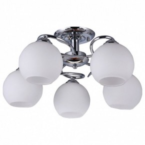 Потолочная люстра Omnilux Casoria OML-25107-05 в Камышлове - kamyshlov.mebel24.online | фото
