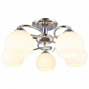 Потолочная люстра Omnilux Casoria OML-25107-05 в Камышлове - kamyshlov.mebel24.online | фото 2