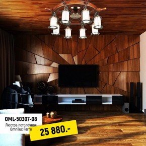 Потолочная люстра Omnilux Ferro OML-50307-08 в Камышлове - kamyshlov.mebel24.online | фото 2