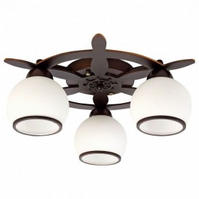 Потолочная люстра Omnilux Fronteira OML-50507-03 в Камышлове - kamyshlov.mebel24.online | фото