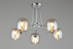 Потолочная люстра Omnilux Tesero OML-27307-05 в Камышлове - kamyshlov.mebel24.online | фото 6