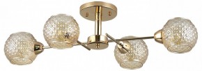 Потолочная люстра Rivoli Amalia Б0050815 в Камышлове - kamyshlov.mebel24.online | фото