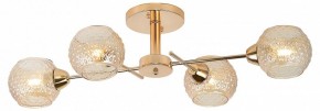 Потолочная люстра Rivoli Amalia Б0050815 в Камышлове - kamyshlov.mebel24.online | фото 2