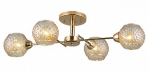 Потолочная люстра Rivoli Amalia Б0050815 в Камышлове - kamyshlov.mebel24.online | фото 3