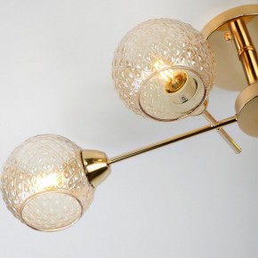 Потолочная люстра Rivoli Amalia Б0050815 в Камышлове - kamyshlov.mebel24.online | фото 8