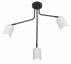 Потолочная люстра Rivoli Rosalinda Б0064987 в Камышлове - kamyshlov.mebel24.online | фото 4