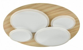 Потолочная люстра Sonex Pine 7734/60L в Камышлове - kamyshlov.mebel24.online | фото