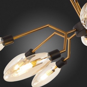 Потолочная люстра ST-Luce Desima SL1174.303.12 в Камышлове - kamyshlov.mebel24.online | фото 10