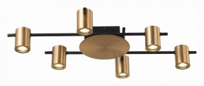 Потолочная люстра ST-Luce Veroli SL1207.402.06 в Камышлове - kamyshlov.mebel24.online | фото 3