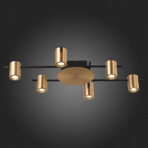 Потолочная люстра ST-Luce Veroli SL1207.402.06 в Камышлове - kamyshlov.mebel24.online | фото 6