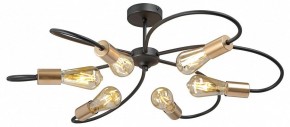 Потолочная люстра Vitaluce V3076 V3076-1/6PL в Камышлове - kamyshlov.mebel24.online | фото 3