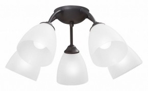 Потолочная люстра Vitaluce V3184 V3737-2/5PL в Камышлове - kamyshlov.mebel24.online | фото