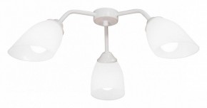 Потолочная люстра Vitaluce V31950 V31950/3PL в Камышлове - kamyshlov.mebel24.online | фото
