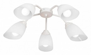 Потолочная люстра Vitaluce V31950 V31950/5PL в Камышлове - kamyshlov.mebel24.online | фото
