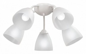 Потолочная люстра Vitaluce V3737 V3737-0/5PL в Камышлове - kamyshlov.mebel24.online | фото