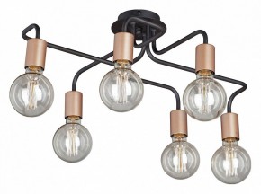 Потолочная люстра Vitaluce V4560 V4560-1/6PL в Камышлове - kamyshlov.mebel24.online | фото