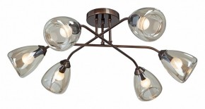 Потолочная люстра Vitaluce  V4954-7/6PL в Камышлове - kamyshlov.mebel24.online | фото