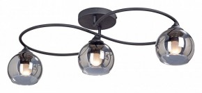 Потолочная люстра Vitaluce  V4965-1/3PL в Камышлове - kamyshlov.mebel24.online | фото