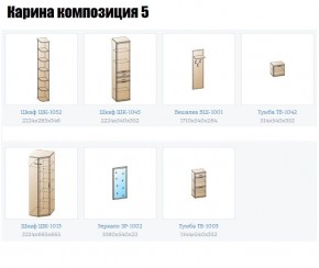 Прихожая Карина (модульная) в Камышлове - kamyshlov.mebel24.online | фото 2