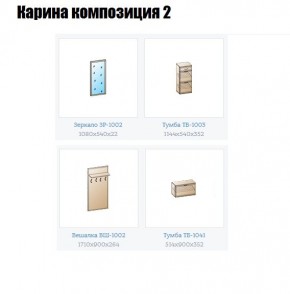 Прихожая Карина (модульная) в Камышлове - kamyshlov.mebel24.online | фото 6