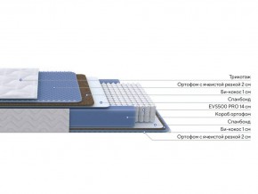 PROxSON Матрас Active Comfort M (Ткань Трикотаж Эко) 80x190 в Камышлове - kamyshlov.mebel24.online | фото 2