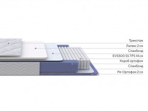 PROxSON Матрас Active Duo S/F (Ткань Трикотаж Эко) 90x190 в Камышлове - kamyshlov.mebel24.online | фото 2
