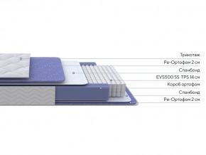PROxSON Матрас Active F (Ткань Трикотаж Эко) 90x200 в Камышлове - kamyshlov.mebel24.online | фото 2